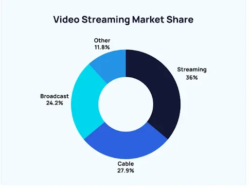 Video Streaming Market Share 1